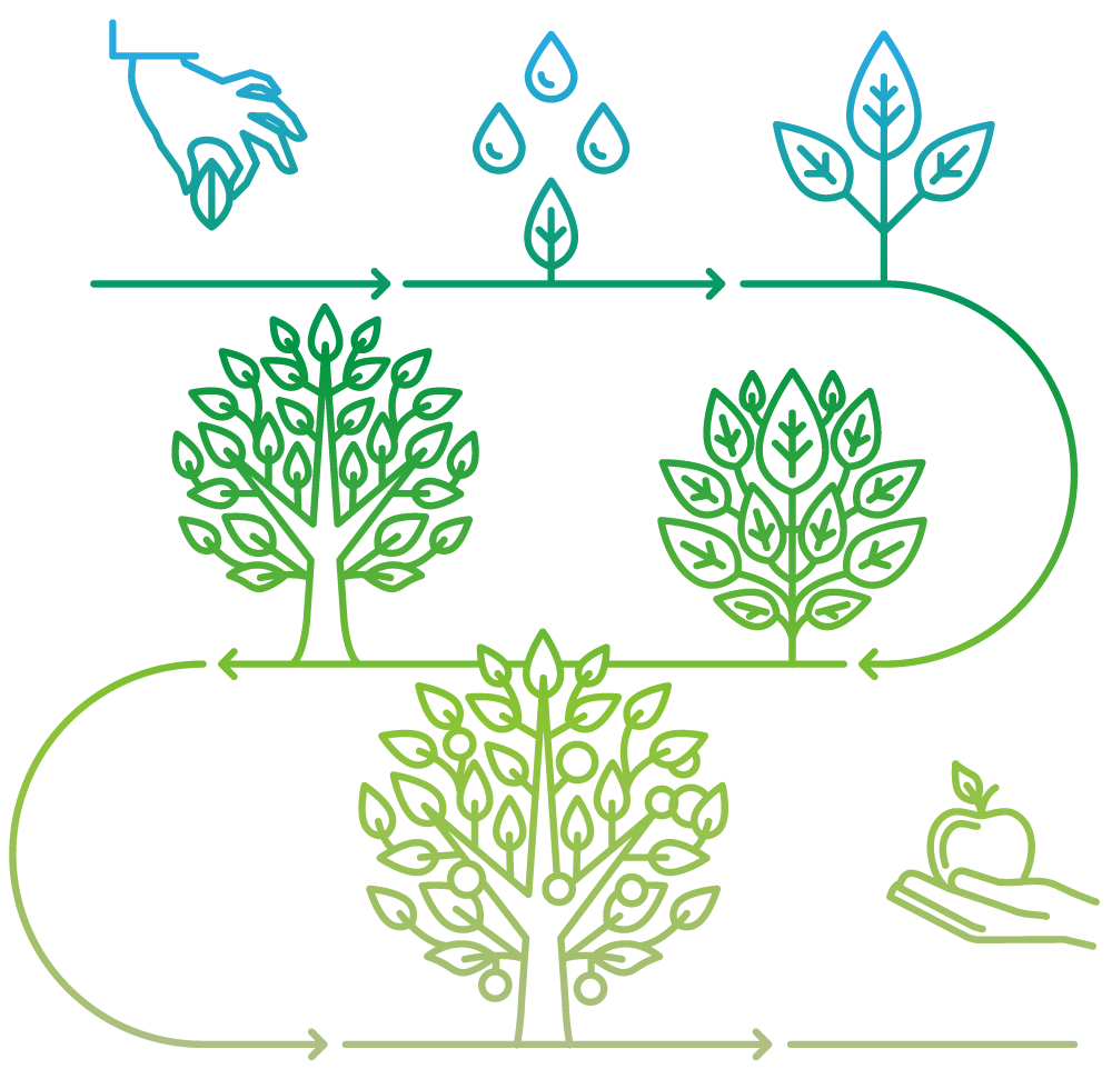 Solfirmus: What we do